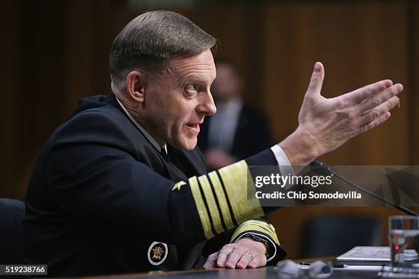 Navy Adm. Michael Rogers, commander of the U.S. Cyber Command, director of the National Security Agency and chief of Central Security Services,...