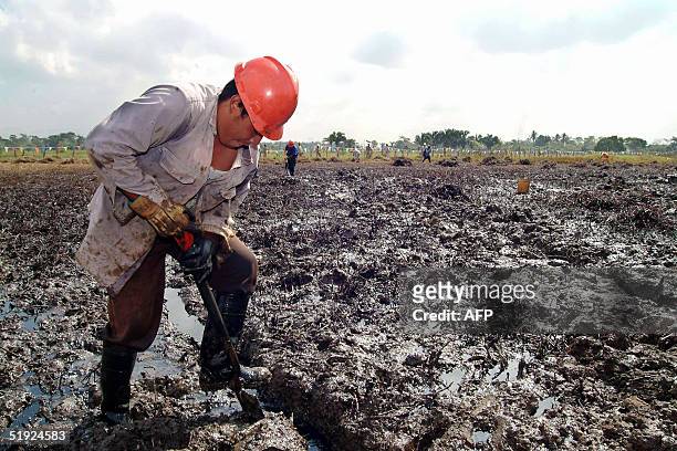 Empleados de la empresa estatal Petroleos Mexicanos , trabajan en un derrame de crudo en el poblado La Ceiba, en el municipio de Cunduakan, estado de...