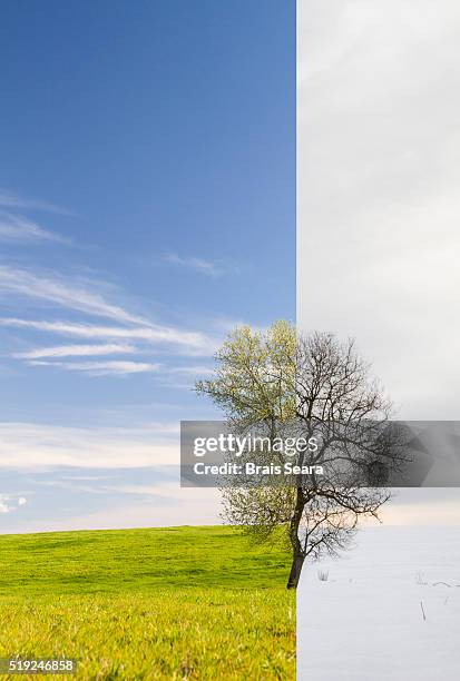 season change - council crest park stockfoto's en -beelden