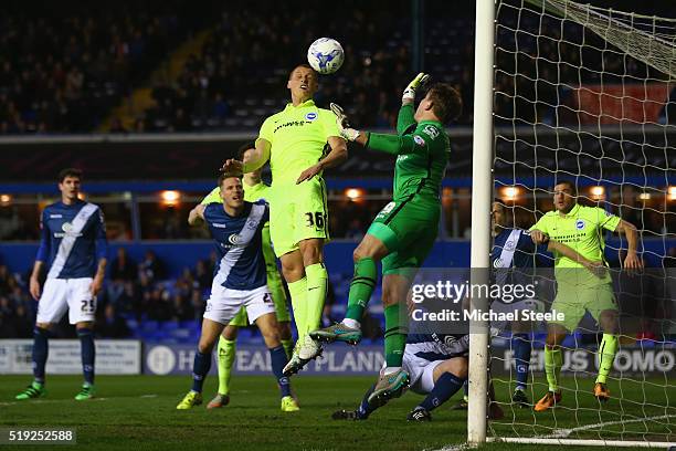 Steve Sidwell of Brighton and Hove Albion has a point blank header saved by Tomasz Kuszczak of Birmingham City o during the Sky Bet Championship...