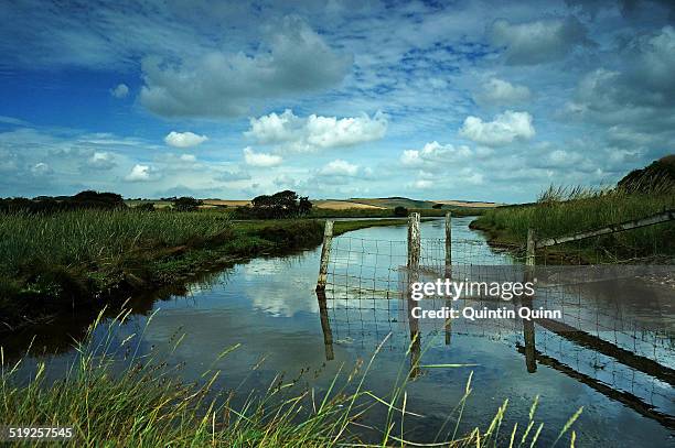 Rheed Quabb 372 Reed Quinn Stock Photos, High-Res Pictures, and Images - Getty Images