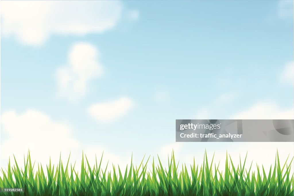 Verde hierba y cielo azul