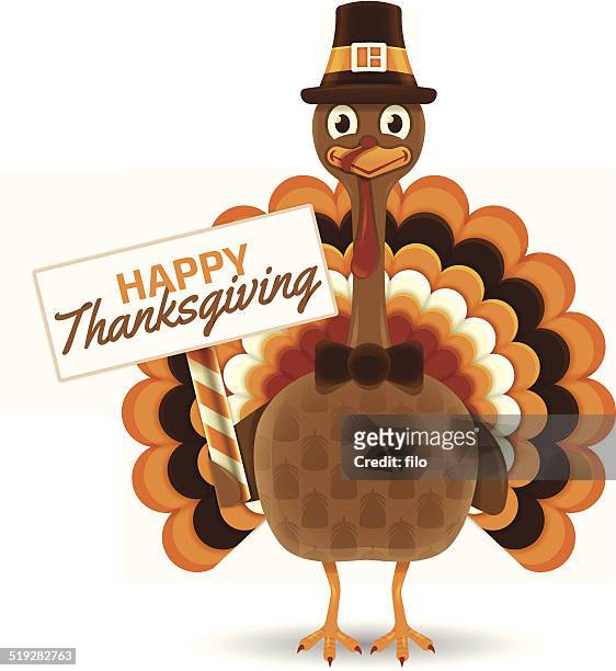stockillustraties, clipart, cartoons en iconen met thanksgiving turkey - kalkoen