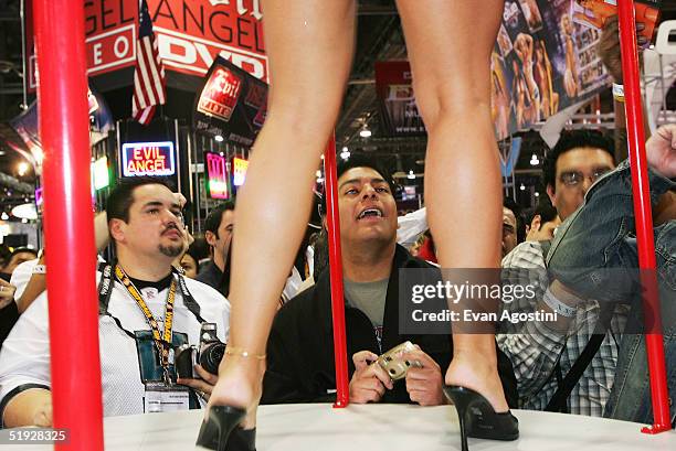 Adult film entertainers participate in the 2005 AVN Adult Entertainment Expo at the Sands Convention Center in the Venetian Hotel on January 8, 2005...