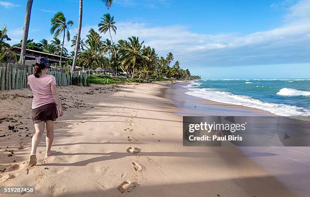 woman walking  on a tropical beach, praia do forte beach ,bahia,  brazil - forte beach stock-fotos und bilder