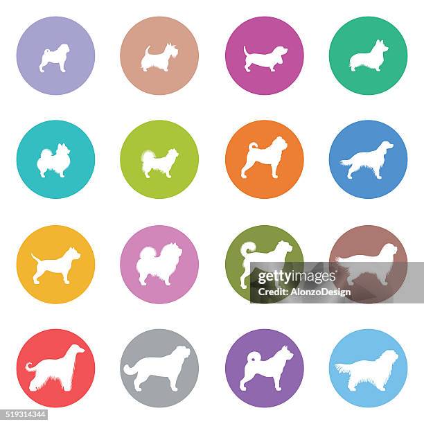 hunde-icon-set - bernhardiner stock-grafiken, -clipart, -cartoons und -symbole