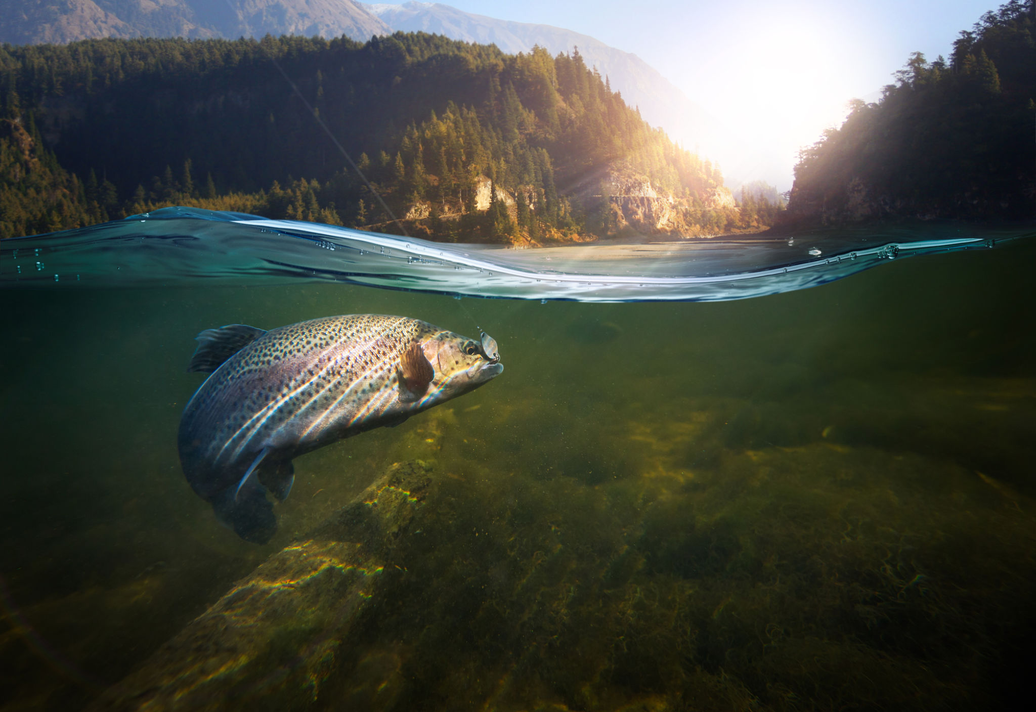 freshwater fishing