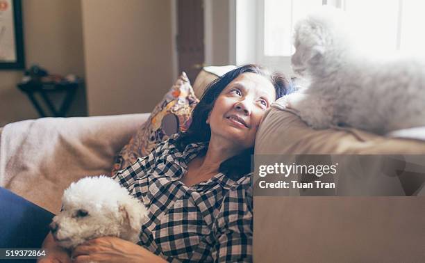 woman relaxing on sofa with two dogs - 旁邊 個照片及圖片檔