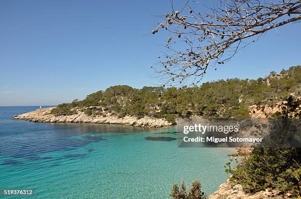 ibiza. cala salada - salada stock pictures, royalty-free photos & images