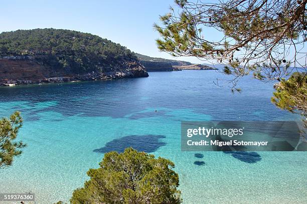 ibiza. cala salada - salada 個照片及圖片檔