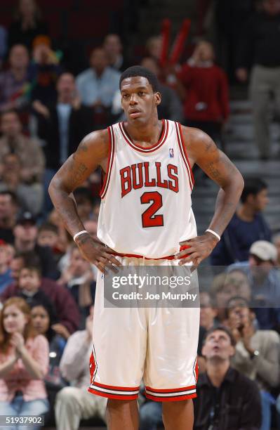 Eddy Curry of the Chicago Bulls stands on the court during the game against the Portland TrailBlazers at the United Center on December 20, 2004 in...