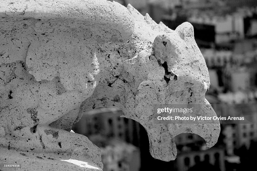 Notre Dames's Gargoyle