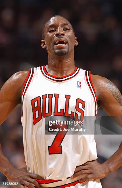 Ben Gordon of the Chicago Bulls stands on the court during the game against the Portland TrailBlazers at the United Center on December 20, 2004 in...