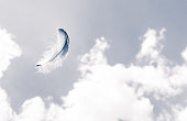 Feather in the sky