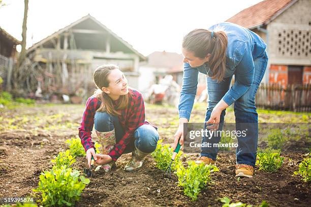 mutter und tochter, die im garten - gartenschaufel stock-fotos und bilder