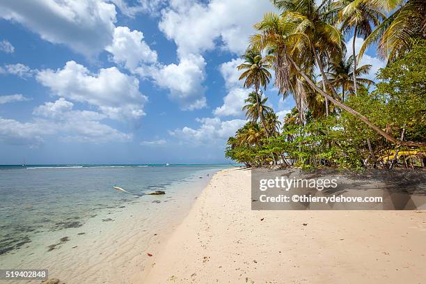 tobago beaches - trinidad trinidad and tobago stock pictures, royalty-free photos & images