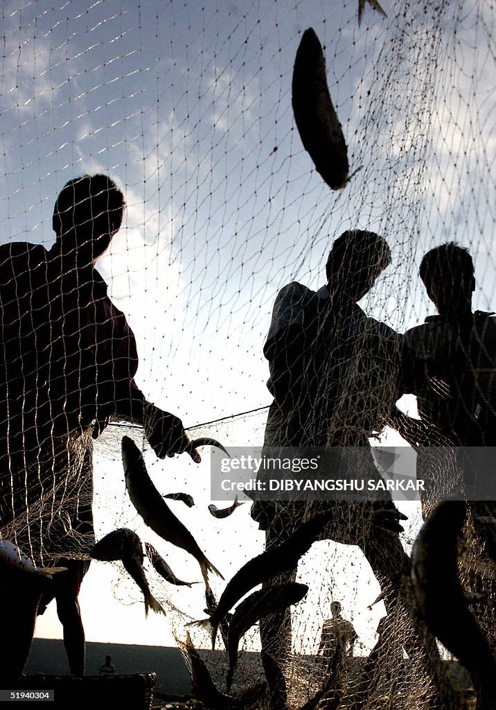 Indian fishermen collect their catch fro