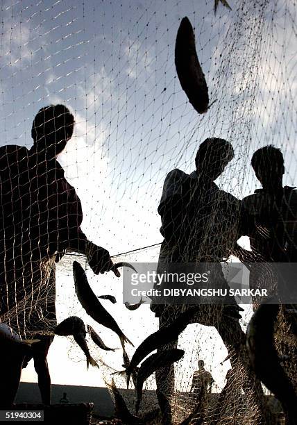Indian fishermen collect their catch from a fishing net after venturing at sea in Madras, 12 January 2005. As reconstruction efforts are on their...