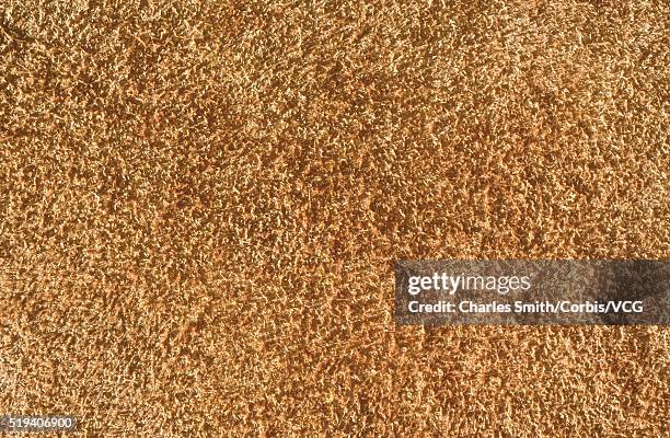 Shag Rug Texture Normal 35 Shag Rug Texture Stock Photos, High-Res Pictures, and Images - Getty ...