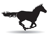 horse,silhouette on a white background