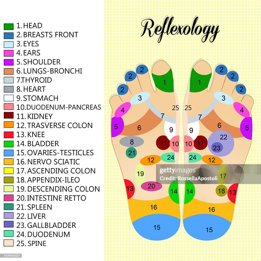 Foot Reflexology Chart HighRes Vector Graphic Getty Images