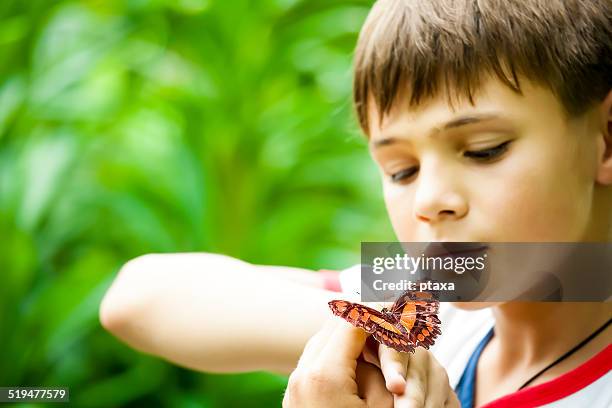 menino e uma borboleta - butterfly hand imagens e fotografias de stock