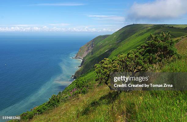 on a footpath from countisbury to lynmouth - exmoor national park stock pictures, royalty-free photos & images