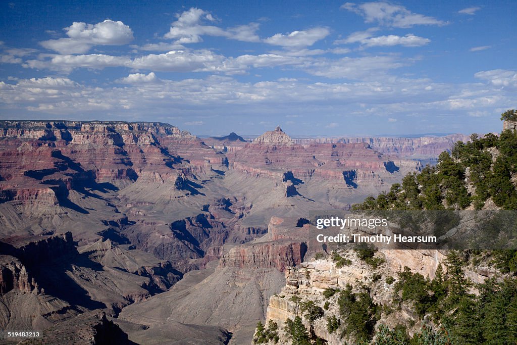 View of the Grand Canyon from the South Rim