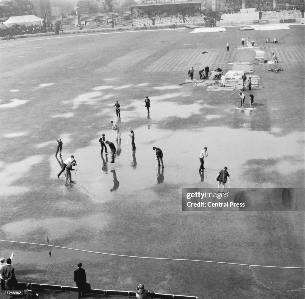 Waterlogged Oval