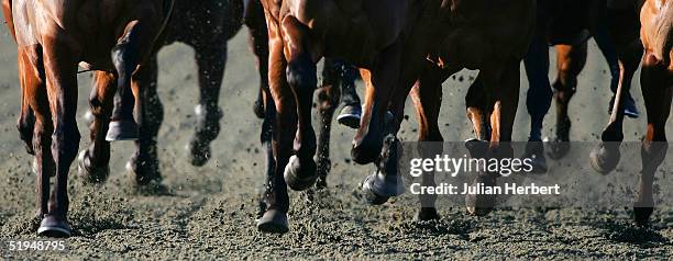 the bet direct on sky active - horse hoof stock pictures, royalty-free photos & images