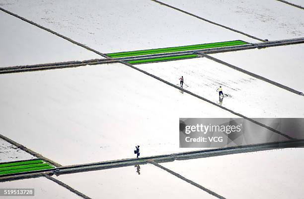 Paddy fields are full of water in Qiantang Village on April 6, 2016 in Suichuan County, Ji'an City, Jiangxi Province of China.