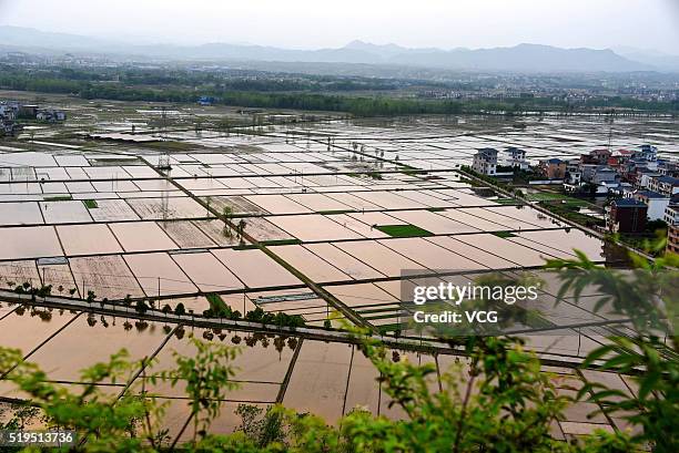 Paddy fields are full of water in Qiantang Village on April 6, 2016 in Suichuan County, Ji'an City, Jiangxi Province of China.