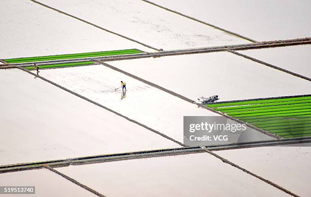 Paddy fields are full of water in Qiantang Village on April 6, 2016 in Suichuan County, Ji'an City, Jiangxi Province of China.