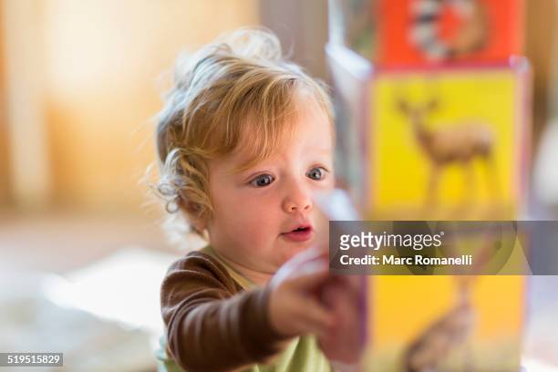 caucasian baby boy stacking colorful blocks - baby blocks stock pictures, royalty-free photos & images