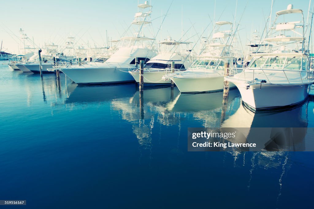 Yachts docked in harbor