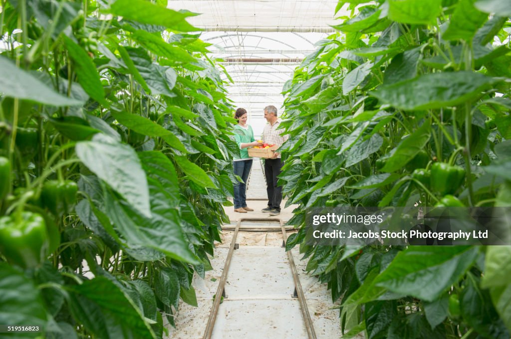 Caucasian couple talking in greenhouse