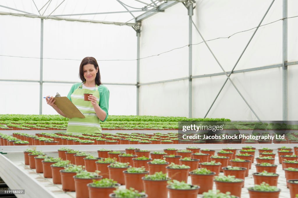 Caucasian woman examining plants in greenhouse