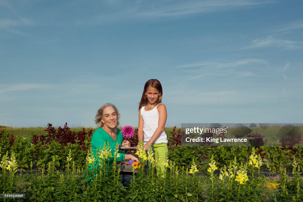 Caucasian grandmother and granddaughter picking flowers on farm