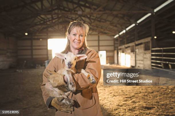 caucasian farmer holding lamb in barn - farmer female confident stock pictures, royalty-free photos & images
