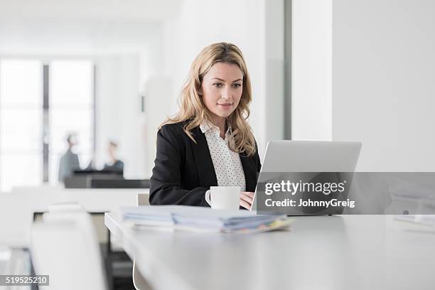 mitte erwachsene frau mit laptop im büro konzentriert - frau am laptop stock-fotos und bilder