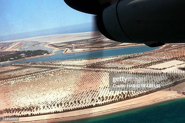 An aerial view taken 19 February 2000 of the Gulf desert island of Sir Bani Yas, 200km west of Abu Dhabi, where giraffes from Africa and llamas from...