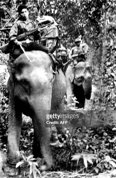 Armed Viet-cong guerillas carry ammunition on elephant back through a South Vietnam high plateau forest 13 November 1969 during the Vietnam war. //...