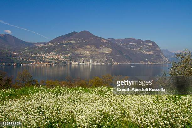 landscape of iseo lake - sarnico stock pictures, royalty-free photos & images