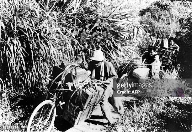 Viet-cong guerrillas convey ammunition and supplies on bicycles through a forest in South Vietnam 04 August 1969 during the Vietnam war. // Des...