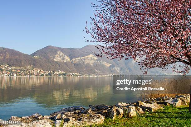 landscape of iseo lake in spring - sarnico stock pictures, royalty-free photos & images