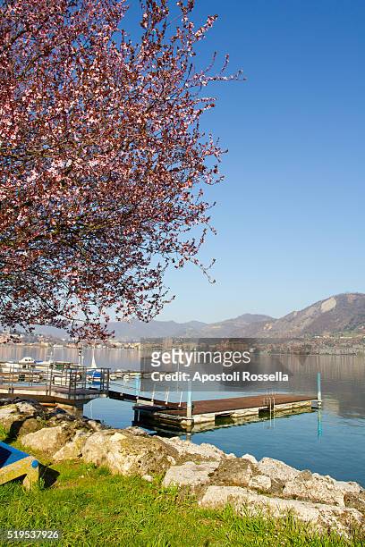 landscape of iseo lake in spring - sarnico stock pictures, royalty-free photos & images