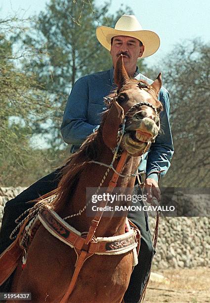 Spanish Ranchero 165 Mexican Ranchero Stock Photos, High-Res Pictures, and Images ...
