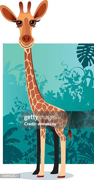 giraffe - giraffe head vector stock illustrations