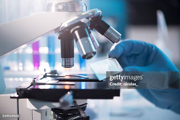 microscope - objektglas bildbanksfoton och bilder
