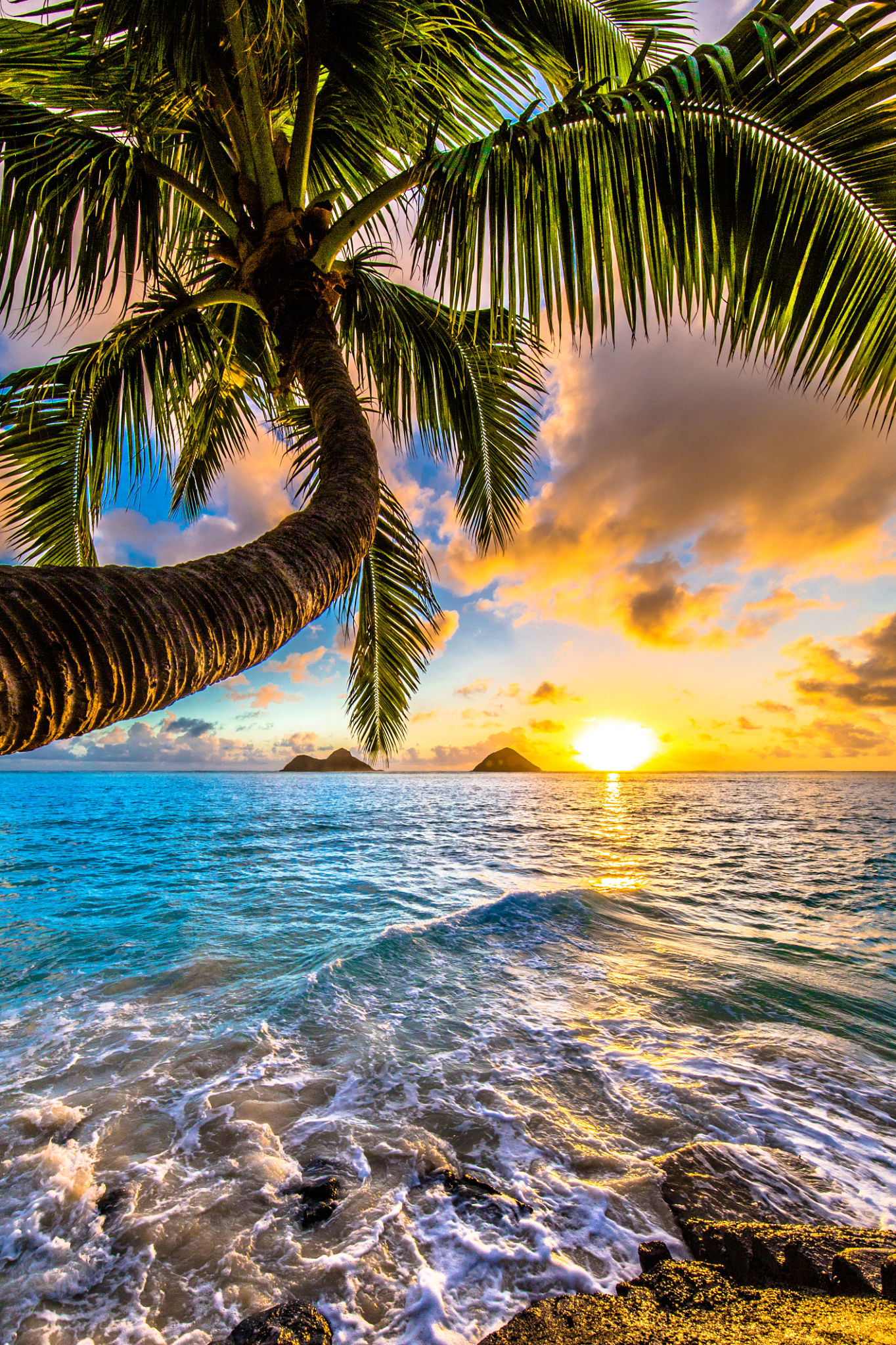 hawaiian beach